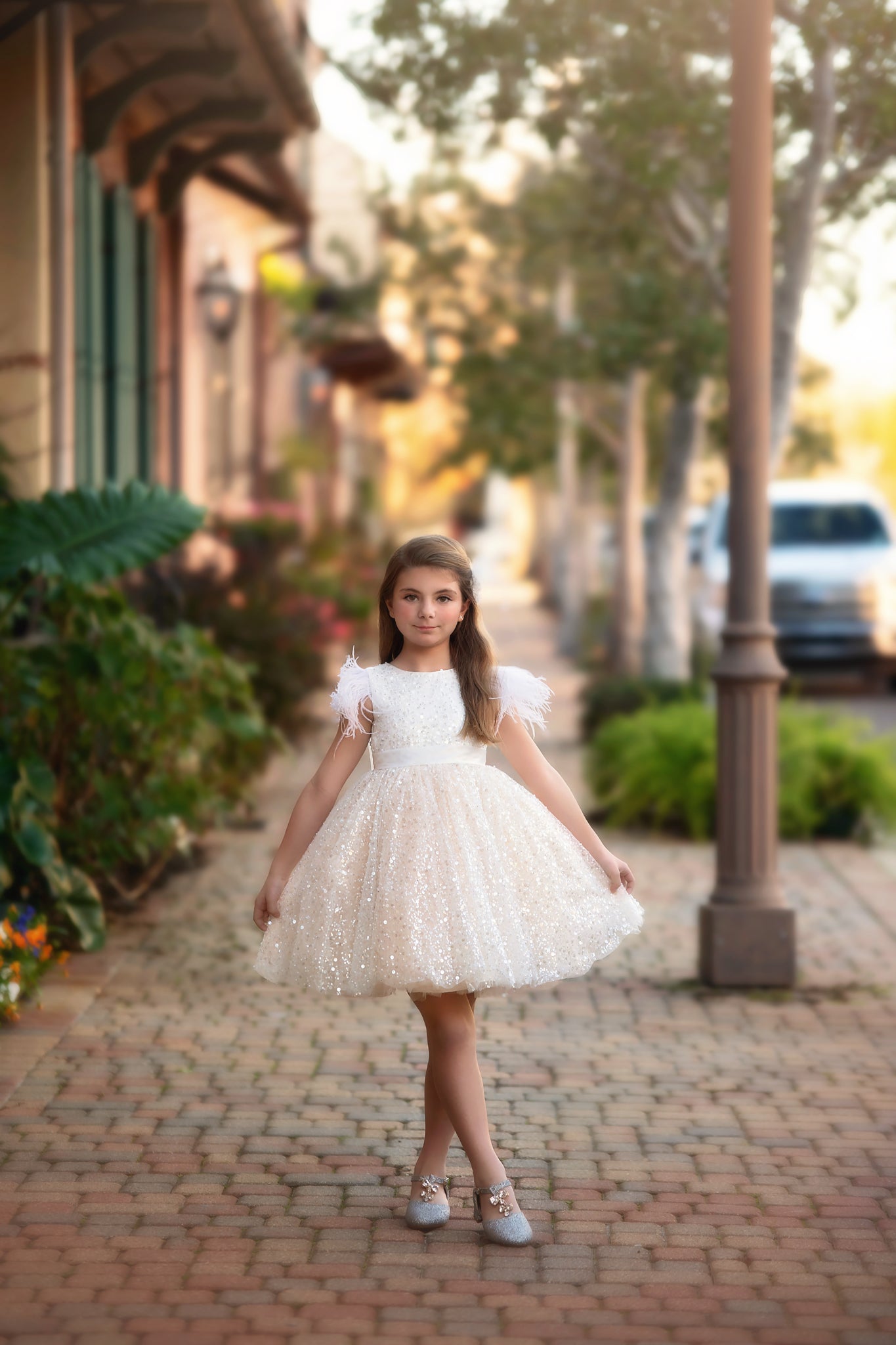 Adorne Eliana Short Sleeve Short Dress
