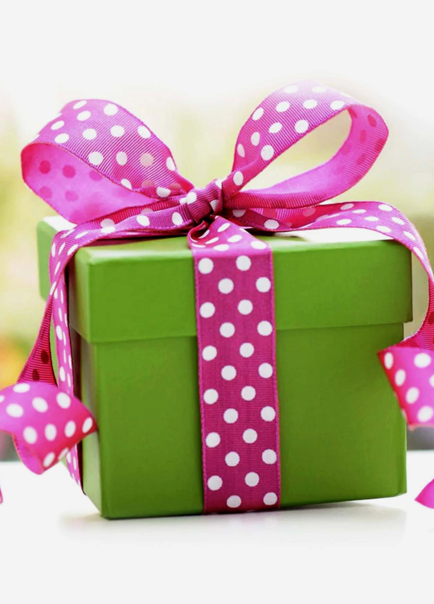 $24.99 SAMPLE SALE WOMEN'S BLOUSES