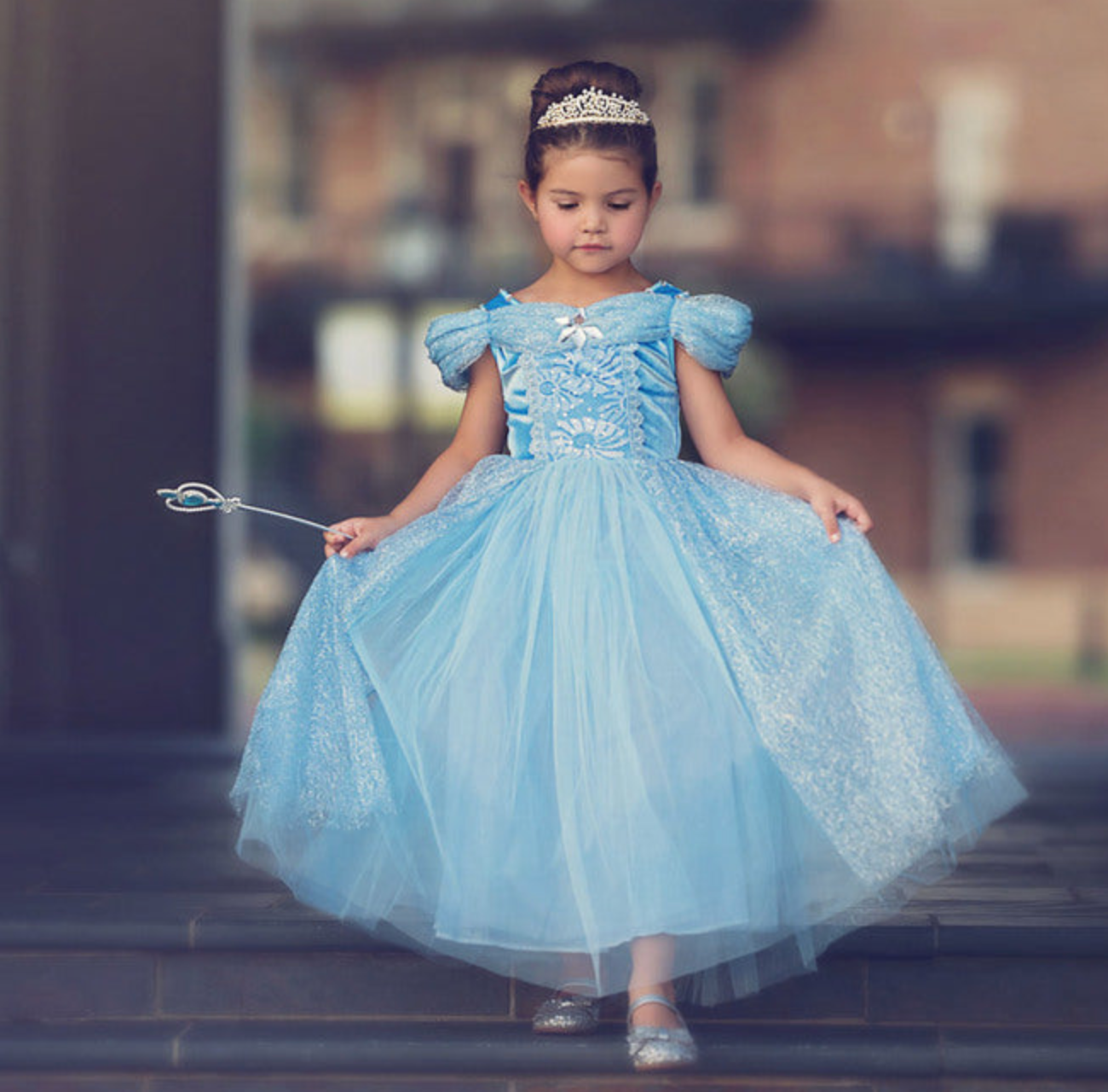 $29.99 DRESS UP SALE QUEEN OF THE KINGDOM
