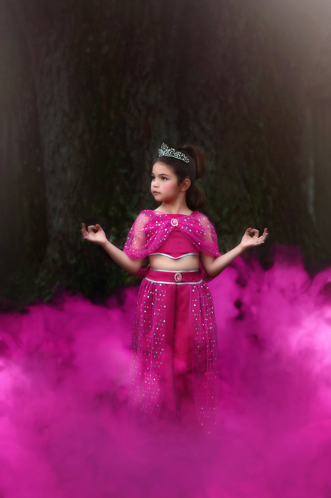 $29.99 DRESS UP SALE GENIE COSTUME FUCHSIA