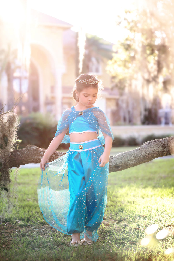$29.99 DRESS UP SALE GENIE COSTUME BLUE
