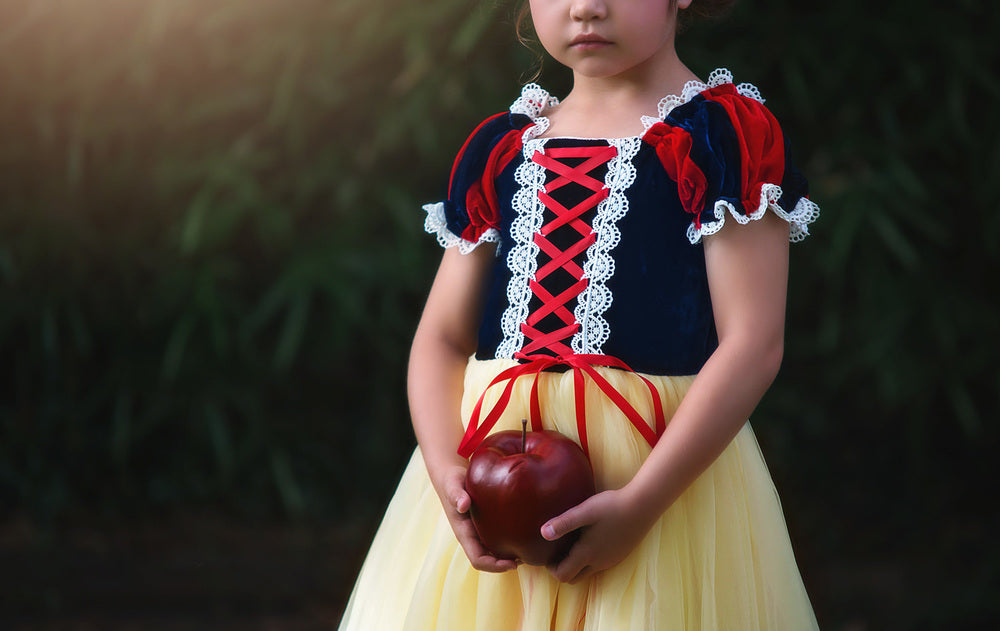 $29.99 DRESS UP SALE PRINCESS KATE DRESS