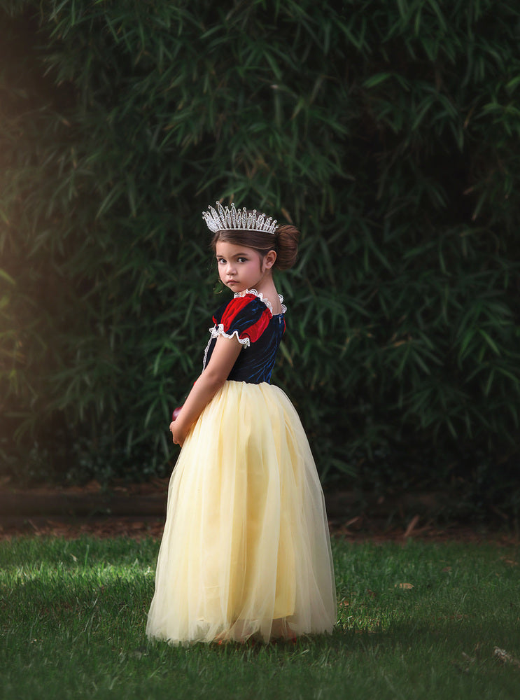 $29.99 DRESS UP SALE PRINCESS KATE DRESS