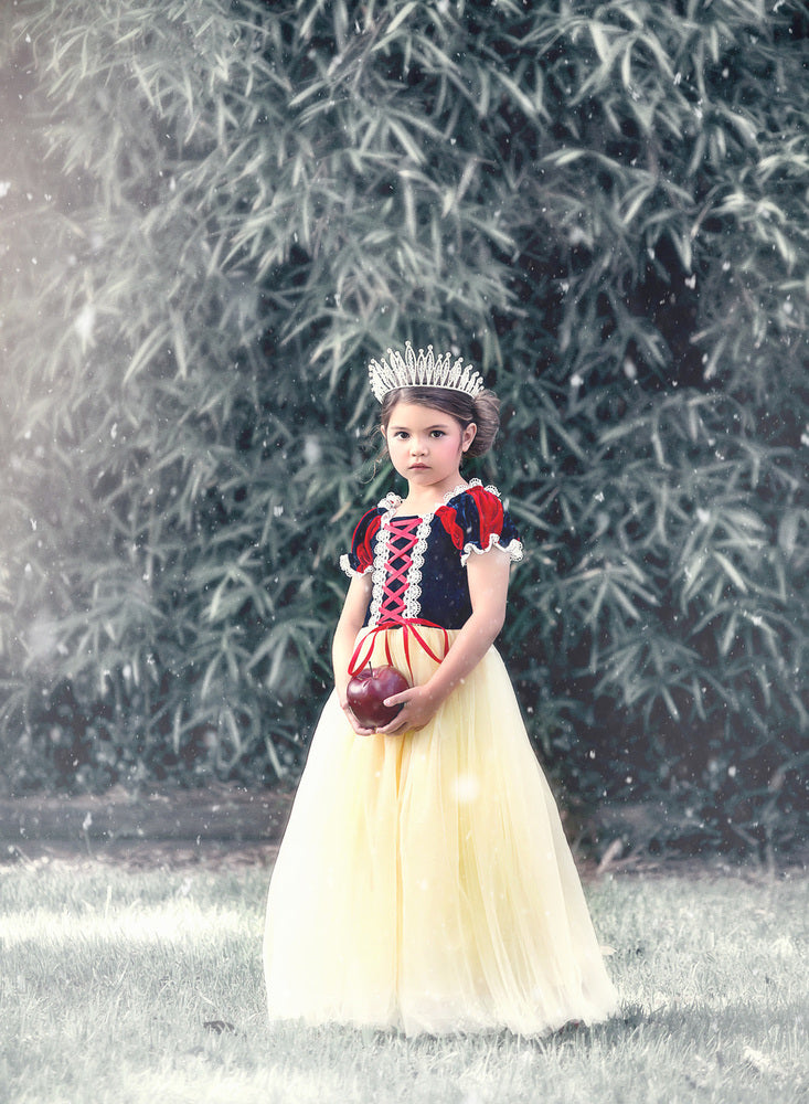 $29.99 DRESS UP SALE PRINCESS KATE DRESS