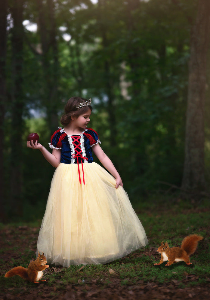 $29.99 DRESS UP SALE PRINCESS KATE DRESS