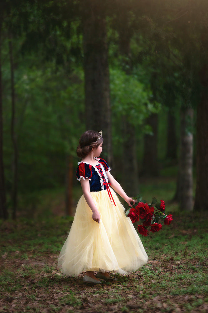 $29.99 DRESS UP SALE PRINCESS KATE DRESS