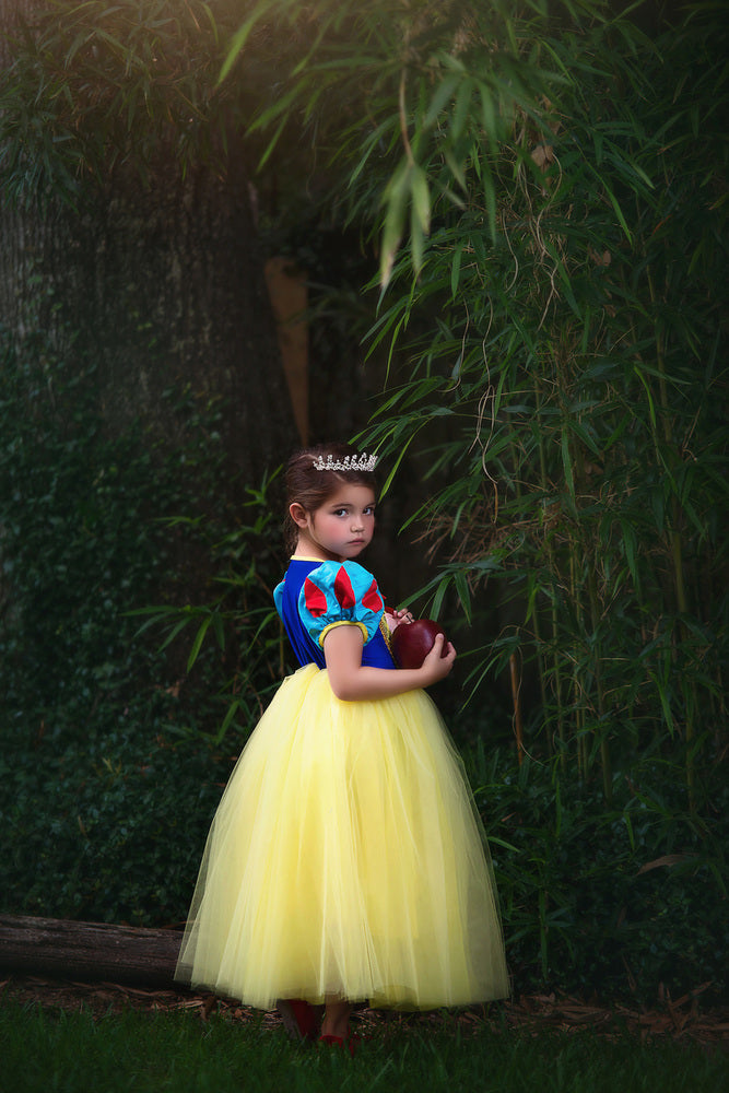 $29.99 DRESS UP SALE GENEVIEVE COSTUME