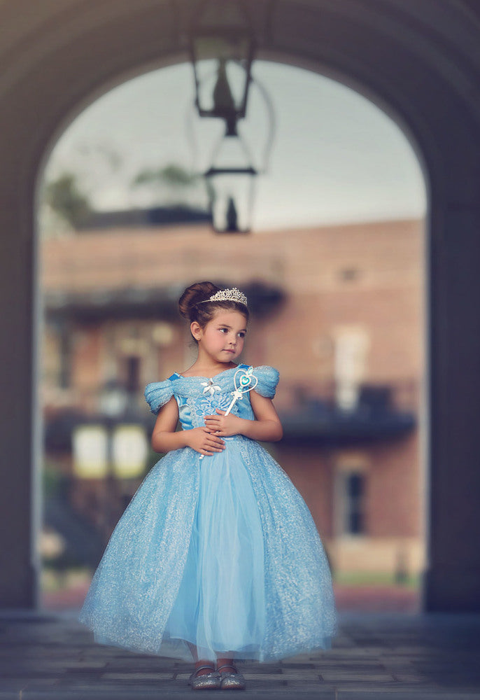 $29.99 DRESS UP SALE QUEEN OF THE KINGDOM