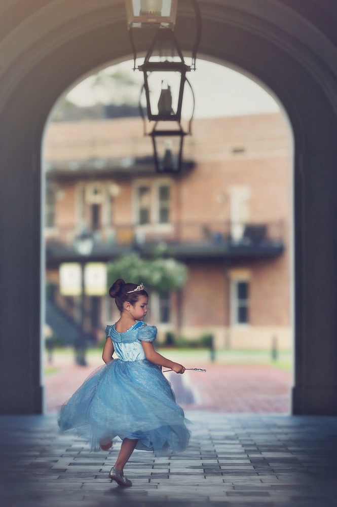 $29.99 DRESS UP SALE QUEEN OF THE KINGDOM