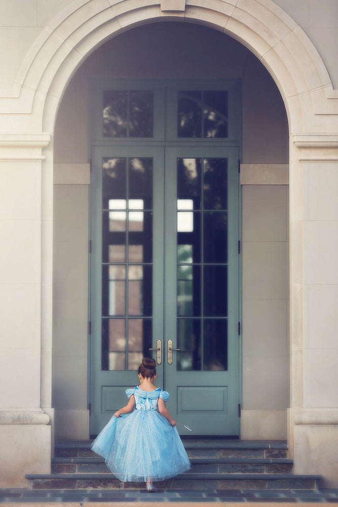 $29.99 DRESS UP SALE QUEEN OF THE KINGDOM