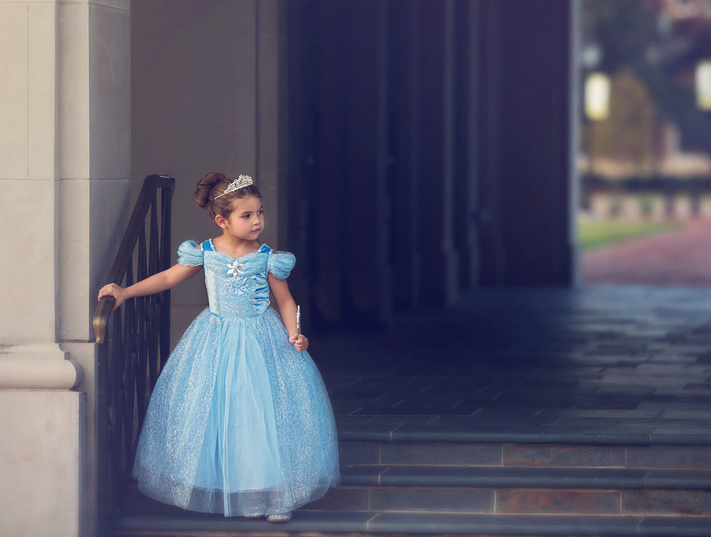 $29.99 DRESS UP SALE QUEEN OF THE KINGDOM