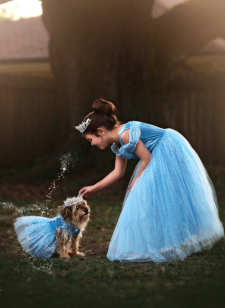 $29.99 DRESS UP SALE QUEEN OF THE KINGDOM