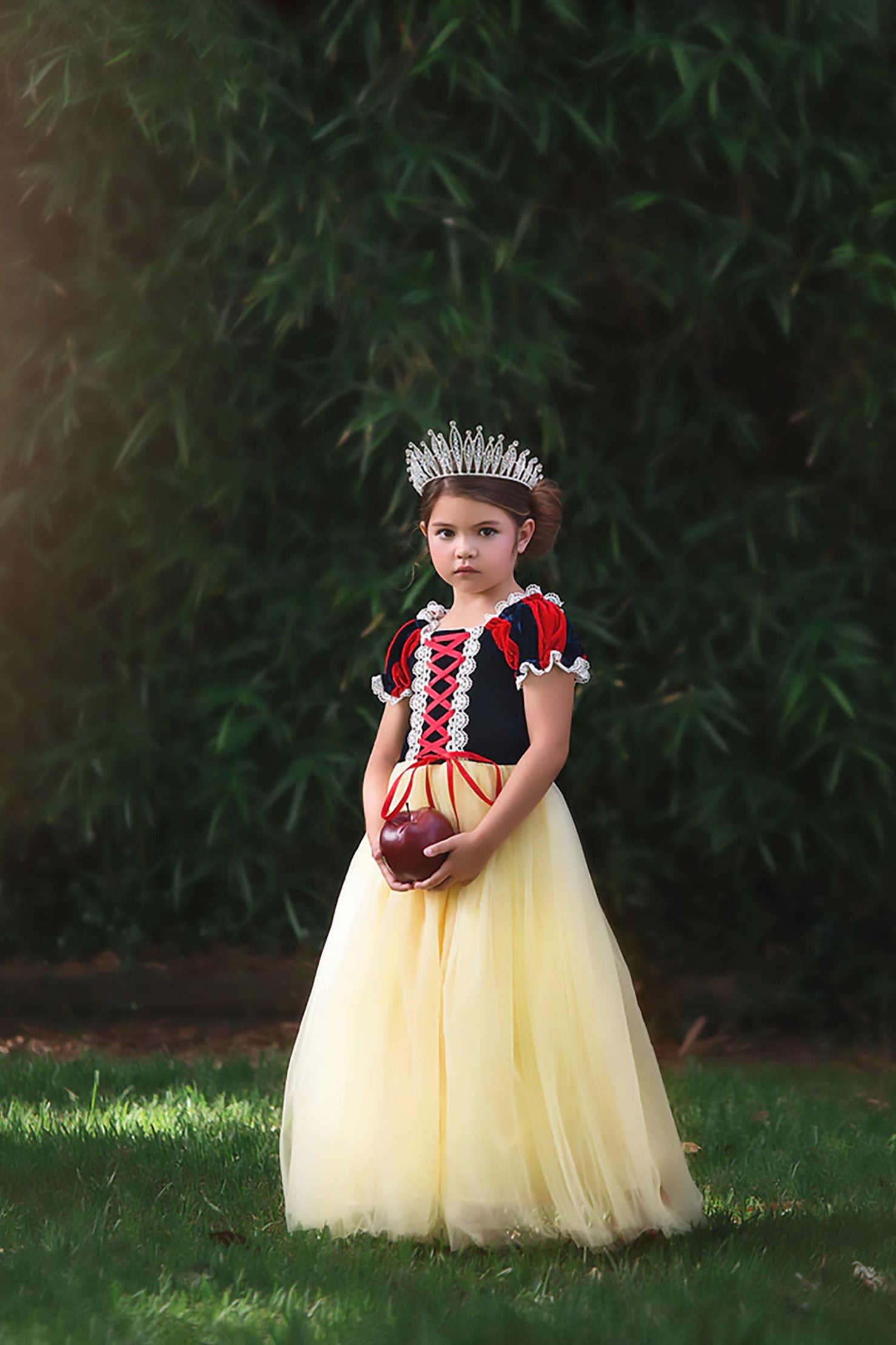 $29.99 DRESS UP SALE PRINCESS KATE DRESS