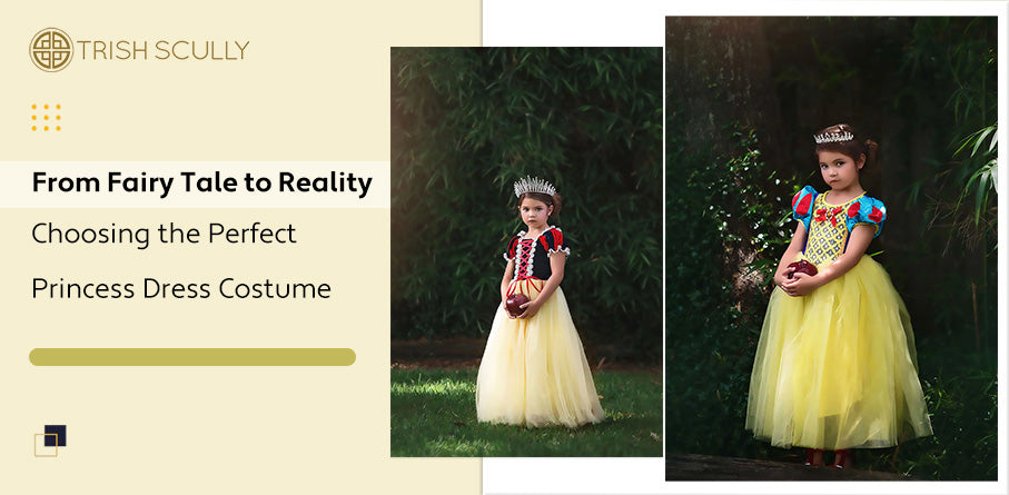From Fairy Tale to Reality: Choosing the Perfect Princess Dress Costume