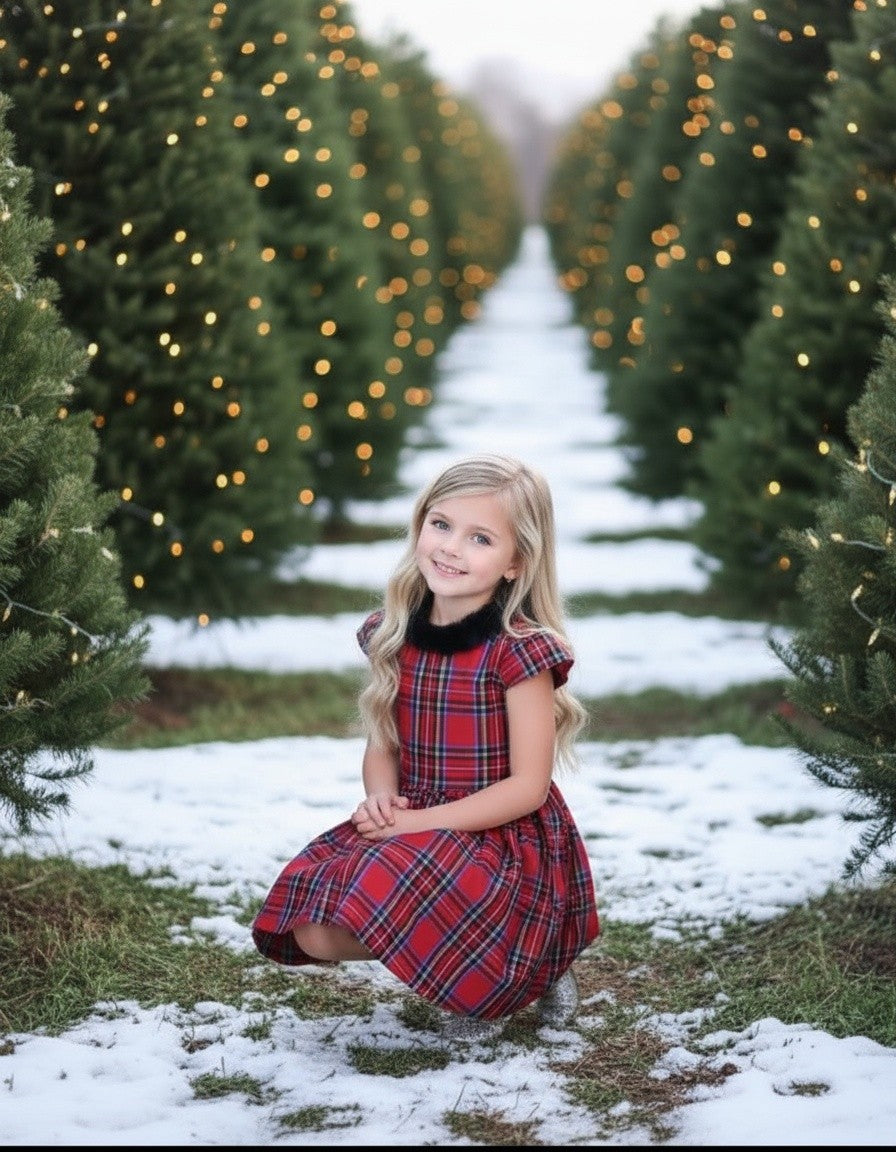 EVANGELINE DRESS ROYAL STEWART TARTAN