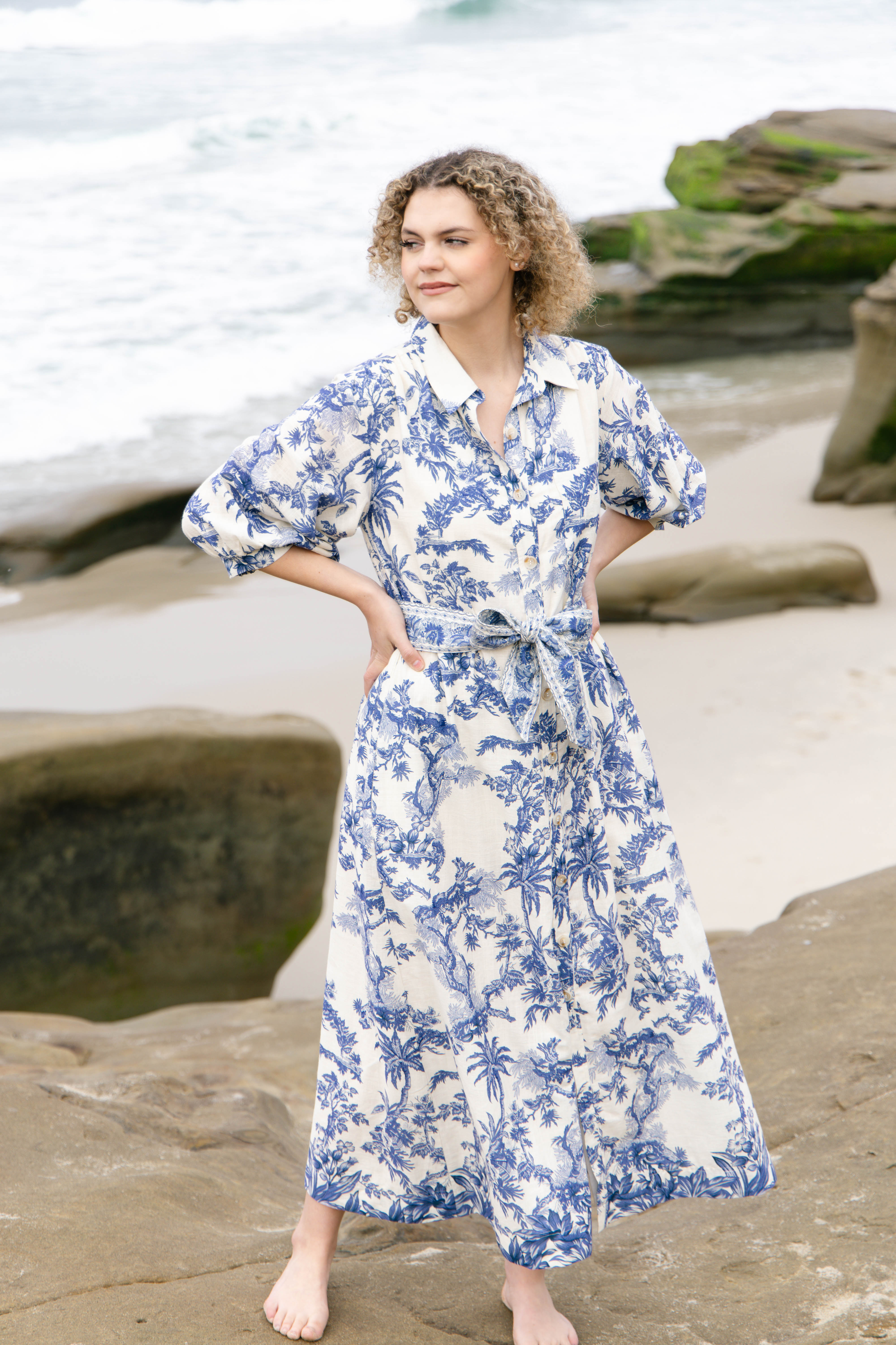 Spring Toile Blue SPRING DRESS EVENT CLARISSE DRESS BLUE TOILE – TRISH SCULLY