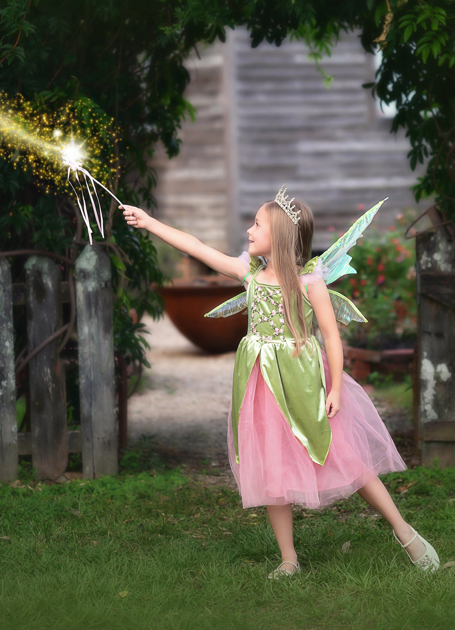 FANCIFUL FAIRY DRESS & WING SET