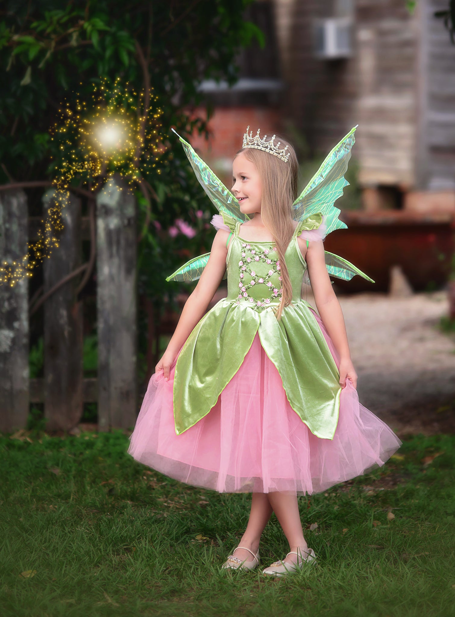 FANCIFUL FAIRY DRESS & WING SET