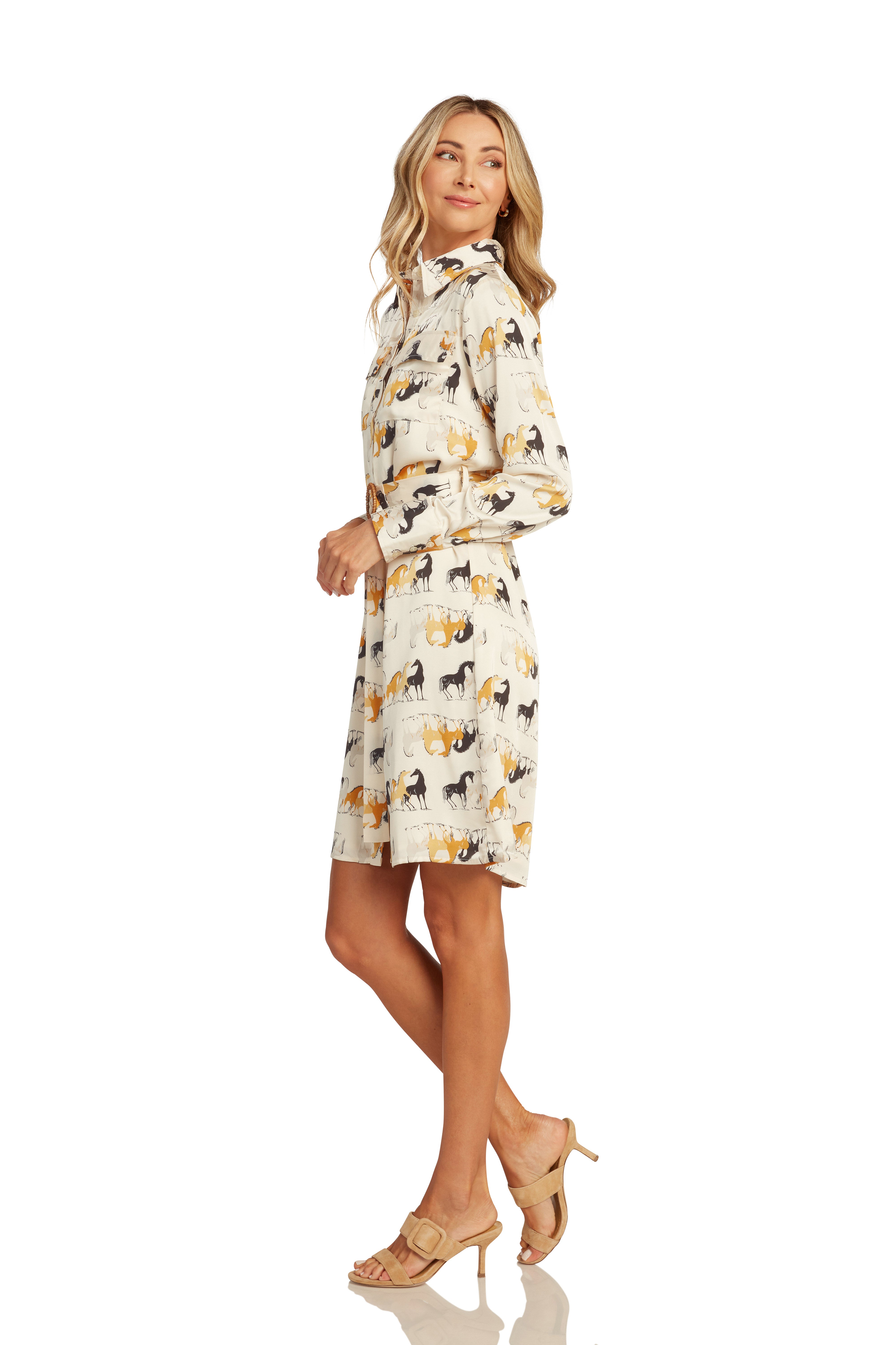 SPRING DRESS EVENT BLAKESLEY BUTTON FRONT DRESS-PONY