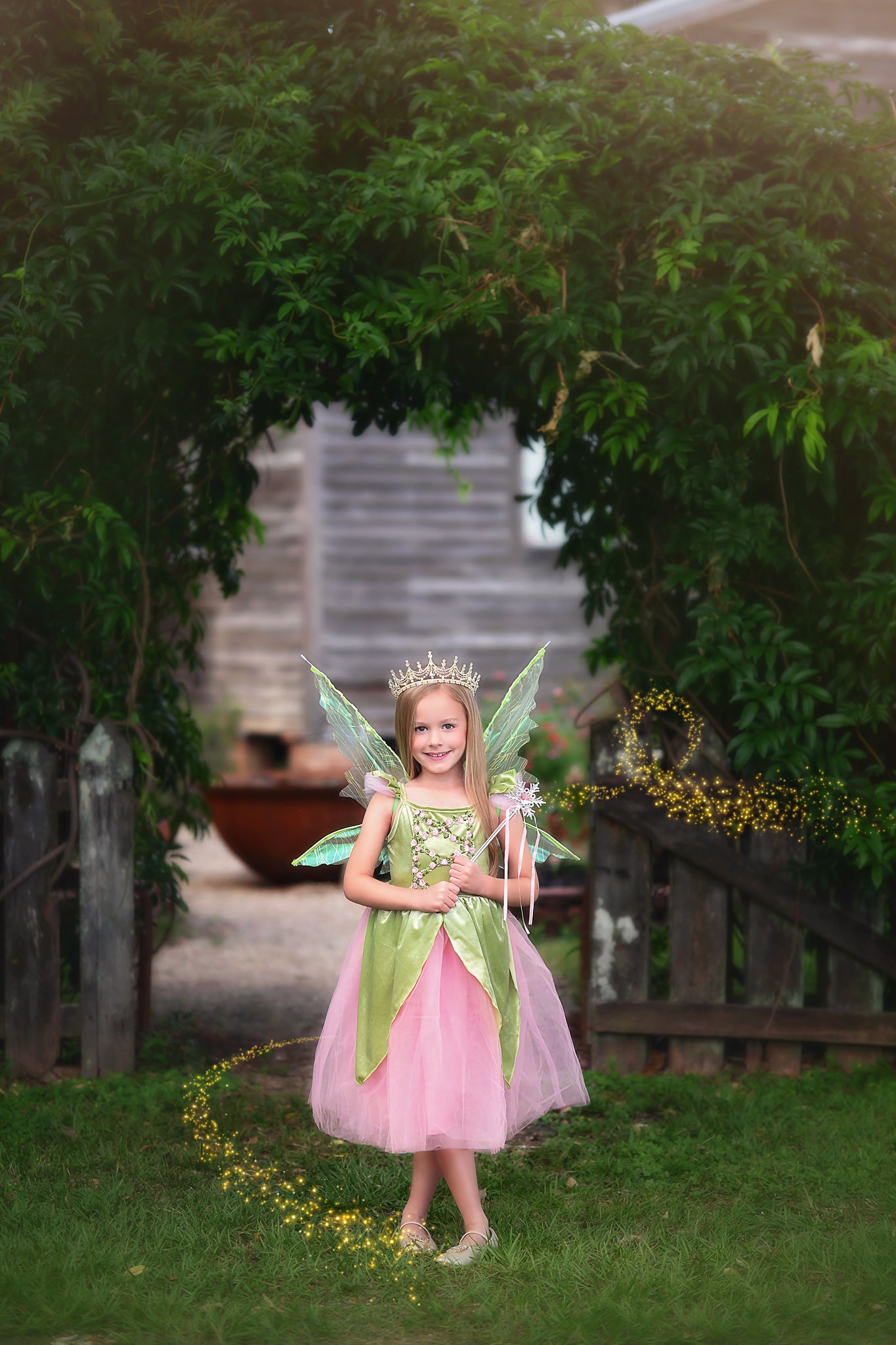 FANCIFUL FAIRY DRESS & WING SET