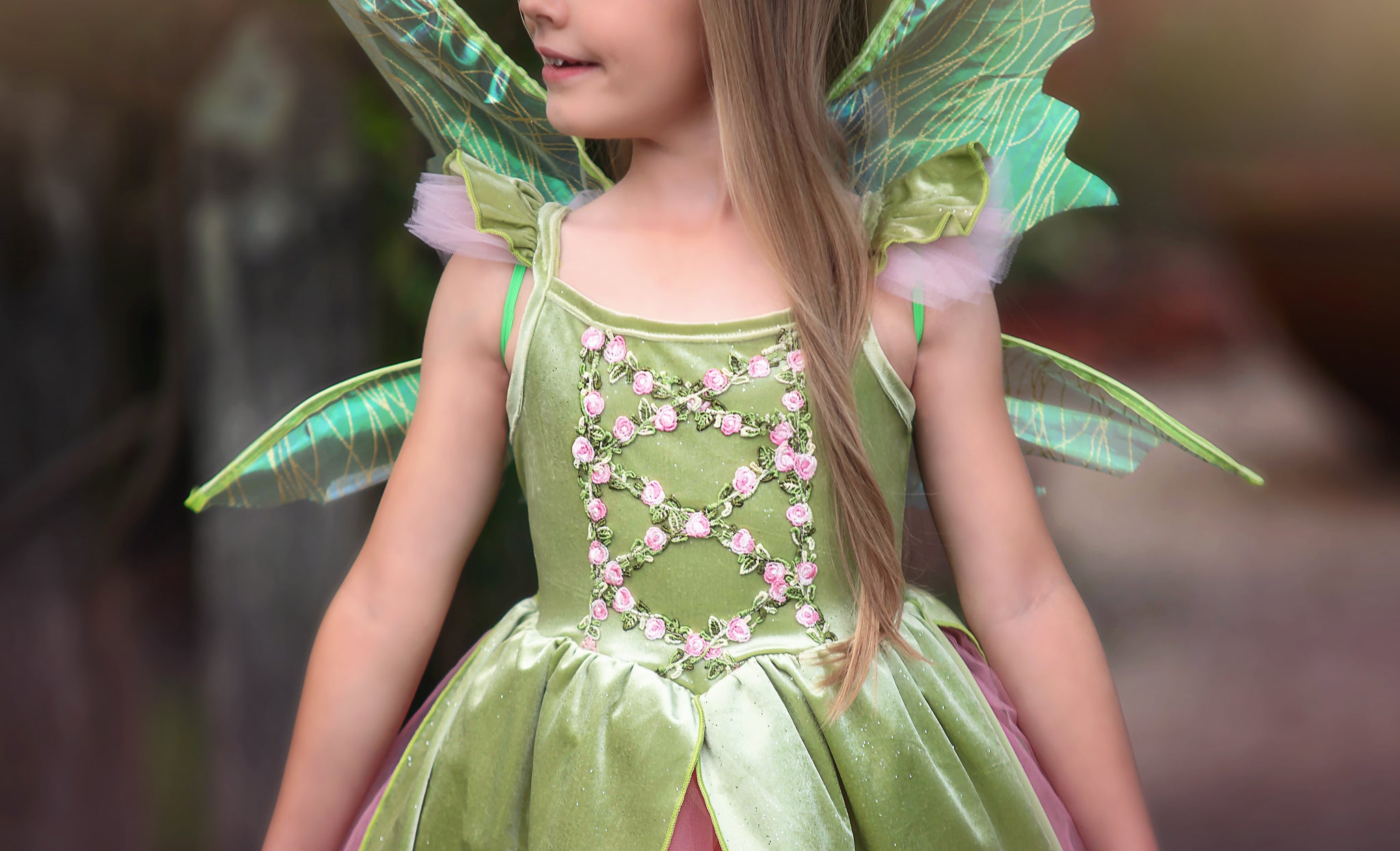 FANCIFUL FAIRY DRESS & WING SET