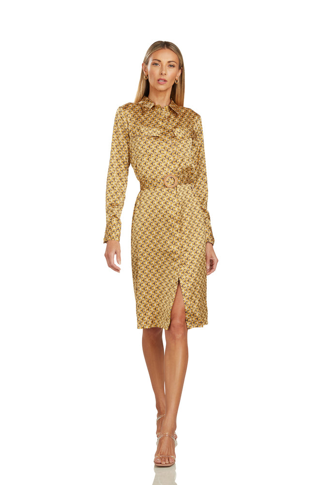 BLAKESLEY SHIRT DRESS