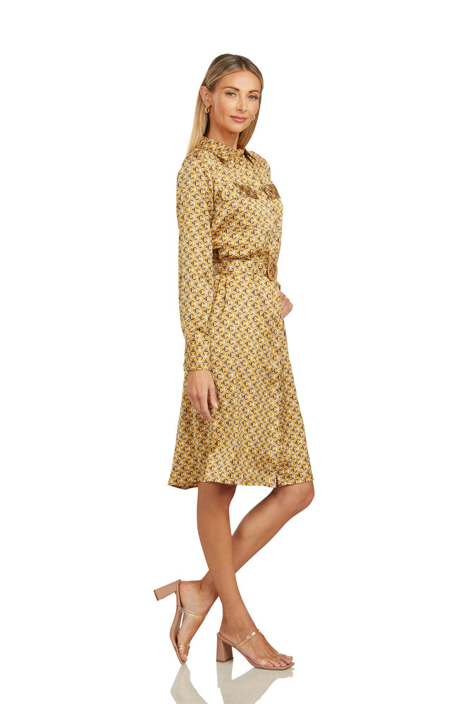 BLAKESLEY SHIRT DRESS