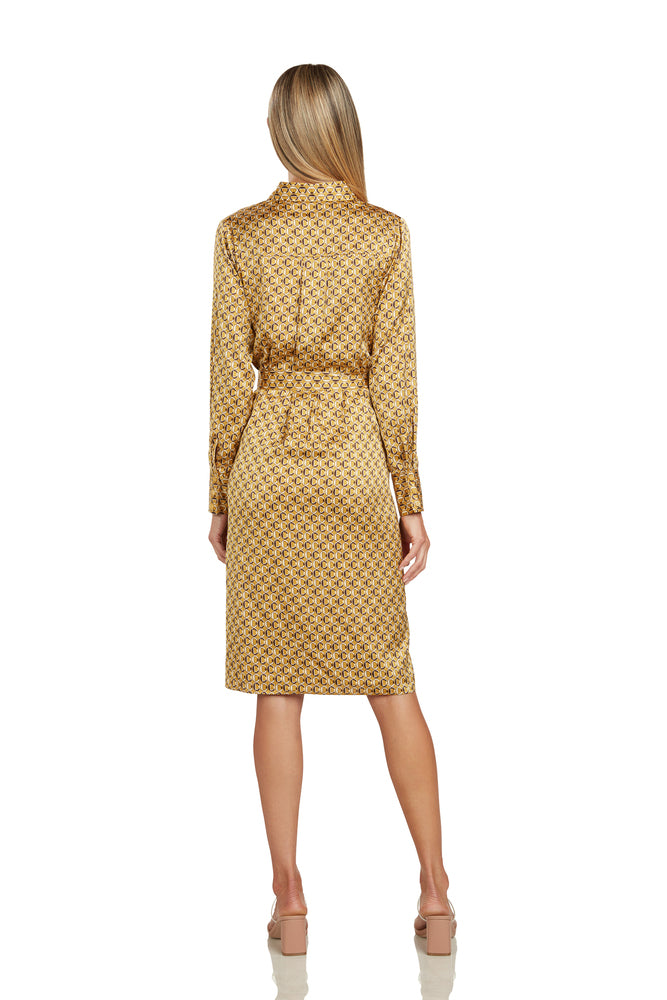 BLAKESLEY SHIRT DRESS