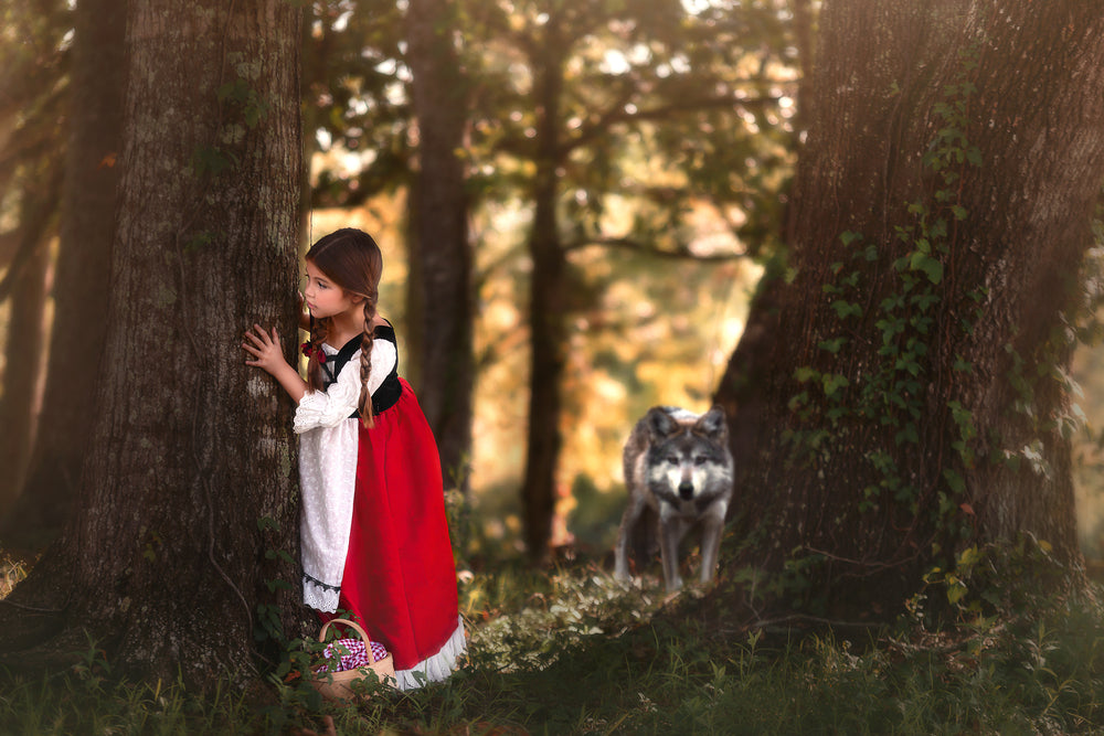 LUXE RED RIDING HOOD DRESS & CAPE SET