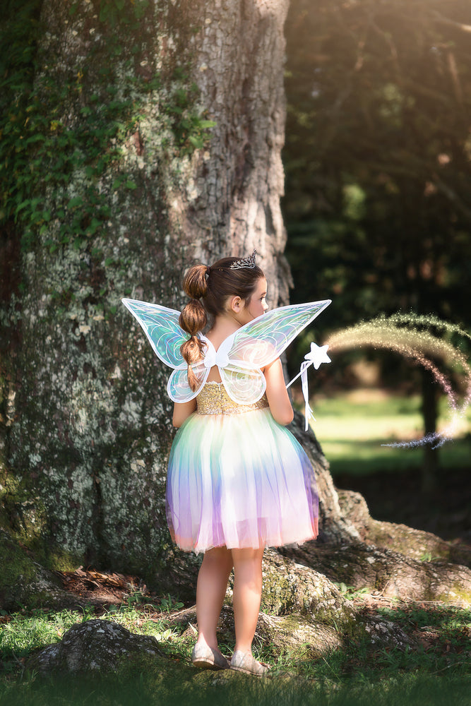 Adult Fairy Costumes: Fabulous Fairy Princess: Wigs, Wings and Dresses.