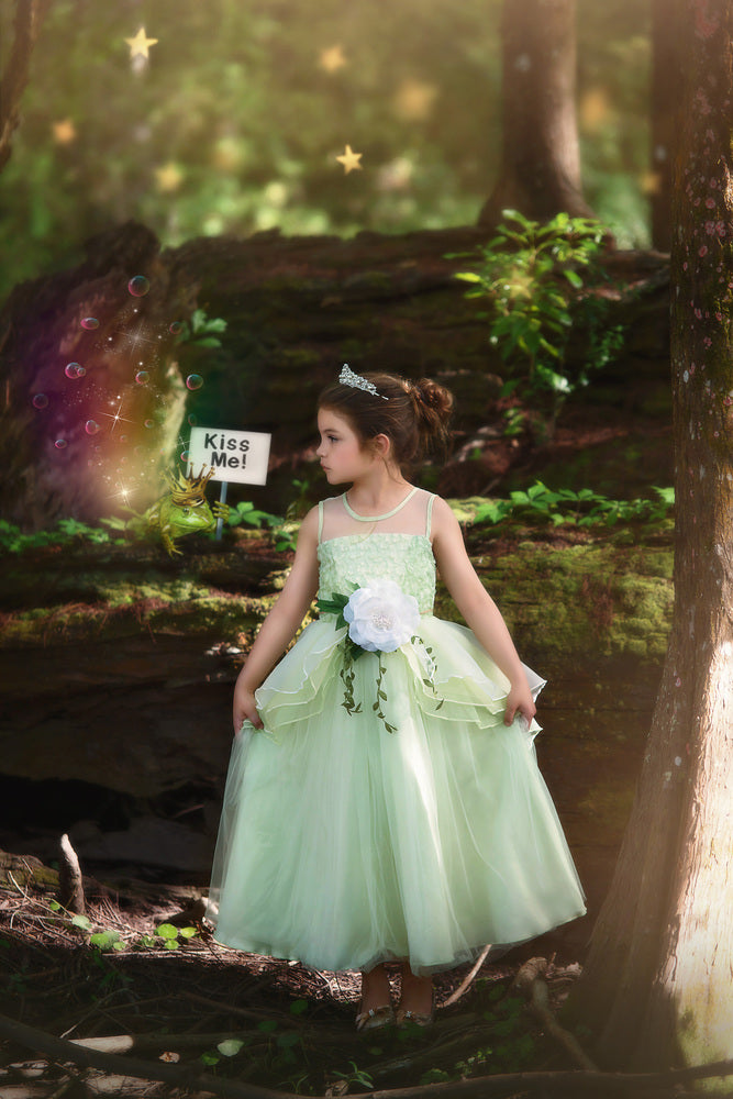 FROG PRINCESS GOWN & BELT SET