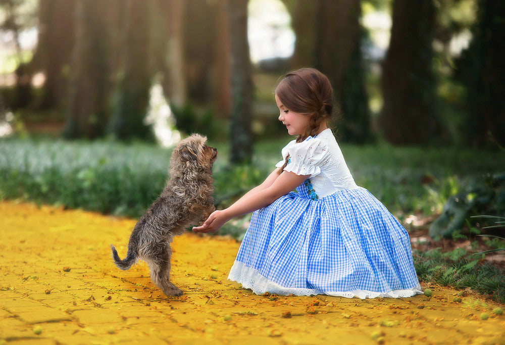 DOROTHY COSTUME