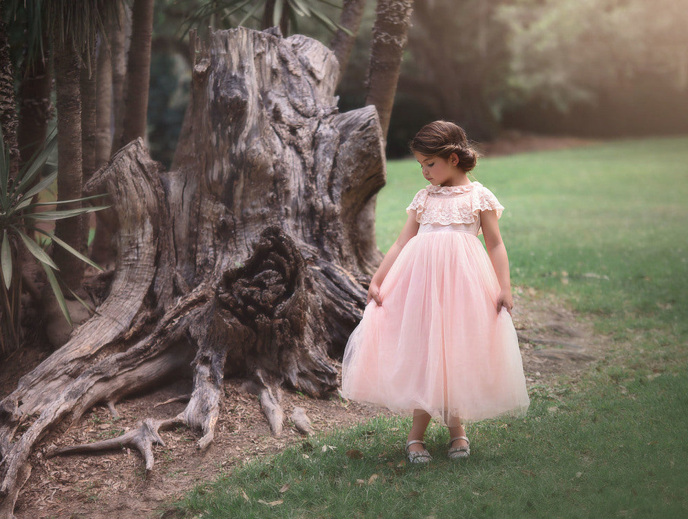 GIOVANNA GOWN PINK