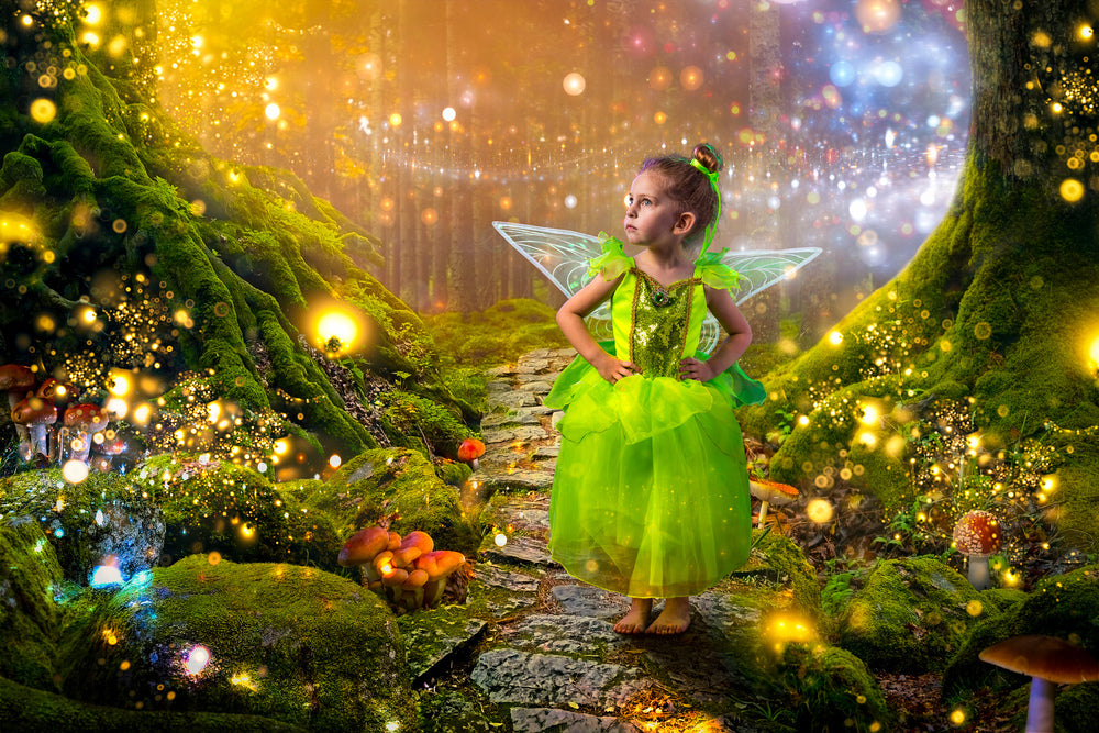 ENCHANTED FAIRY DRESS & WING SET