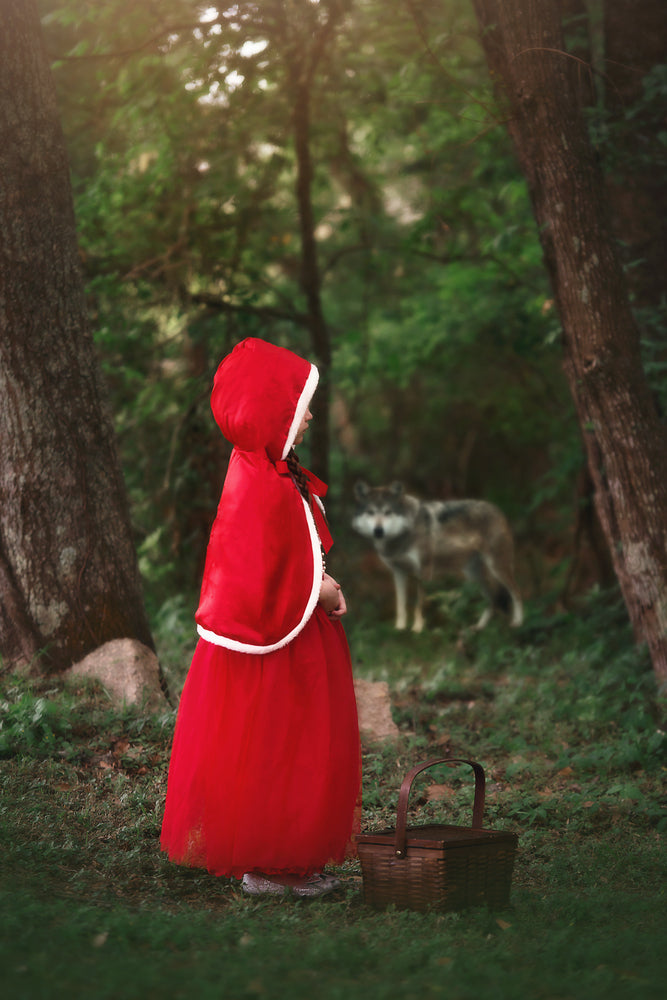 LITTLE RED RIDING HOOD