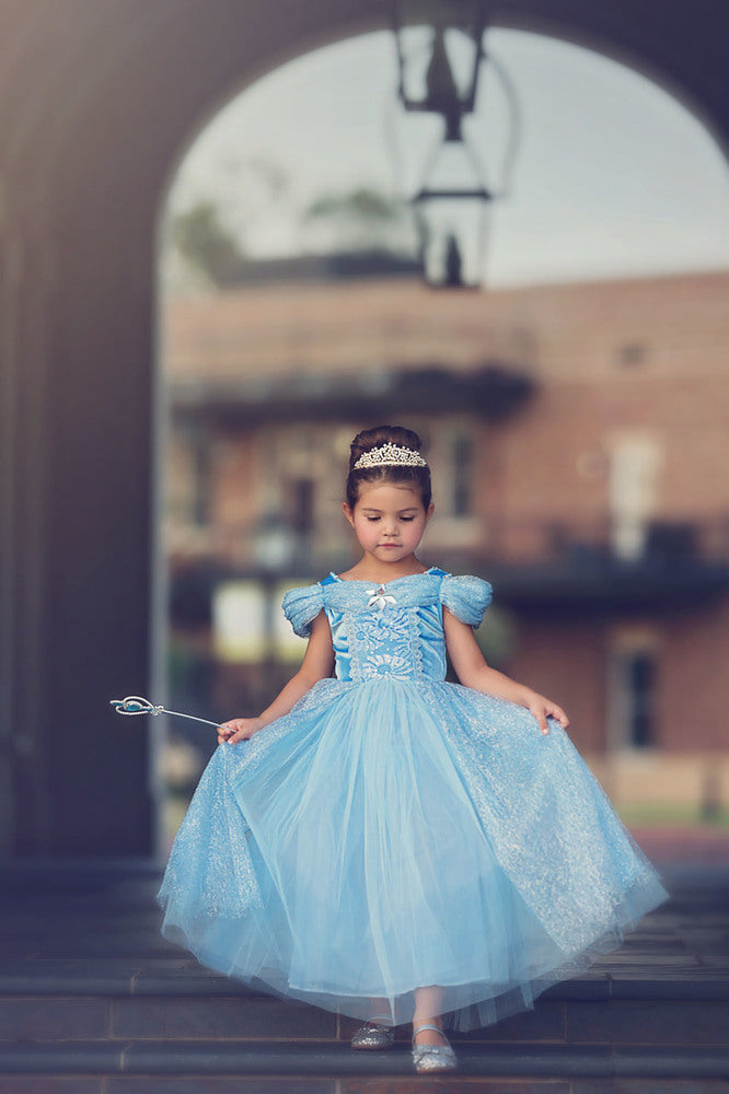 Princess Dress- Blue Princess Wedding Dresses and Dress Up for Toddlers –  TRISH SCULLY