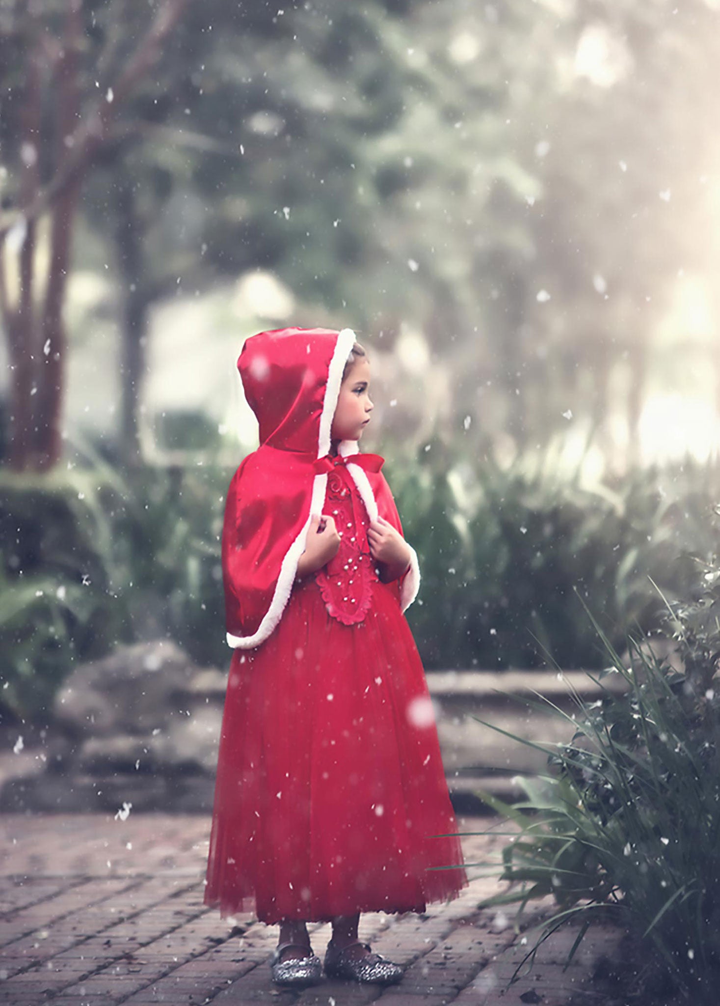 LITTLE RED RIDING HOOD