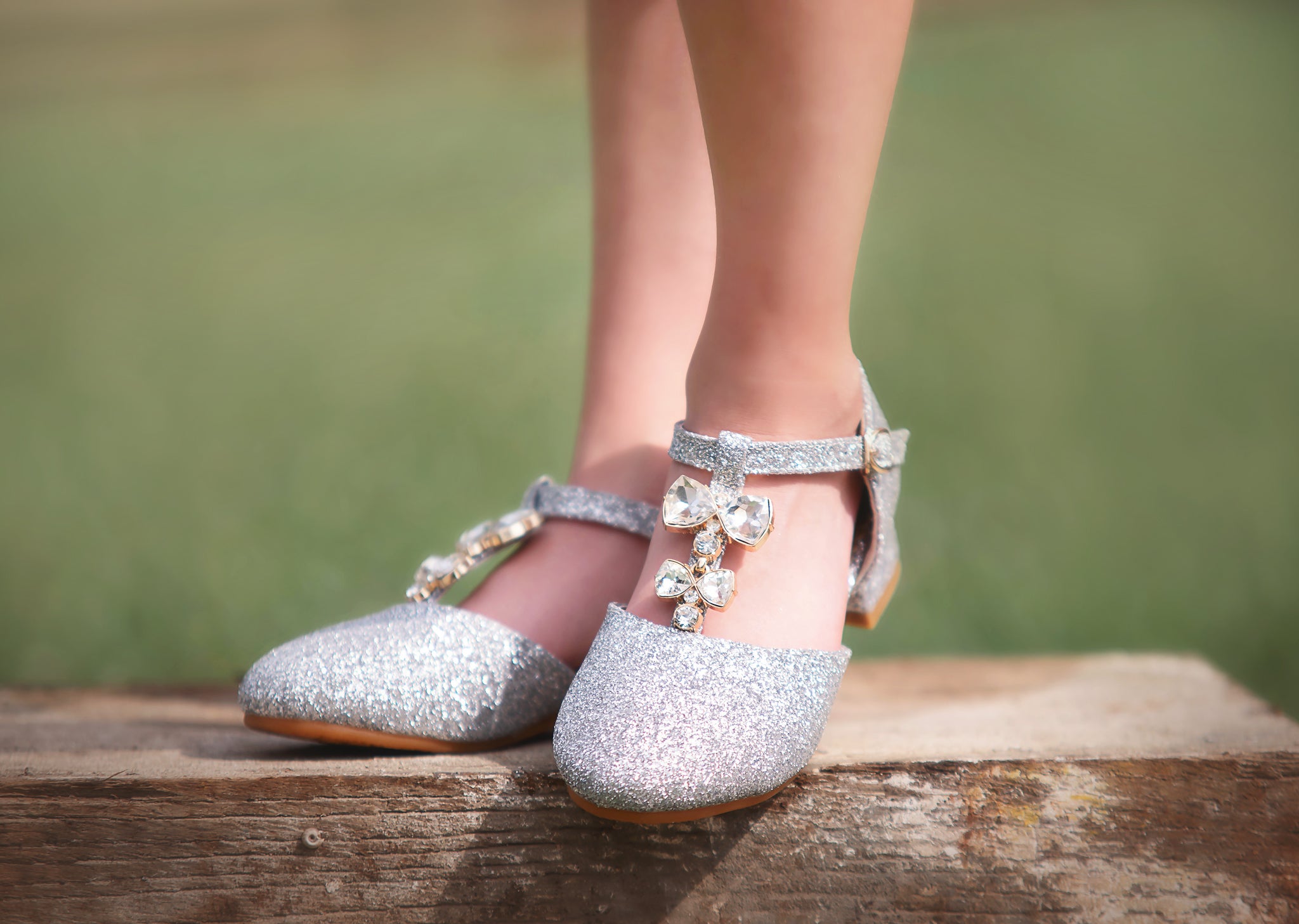 PRINCESS SHOE SILVER